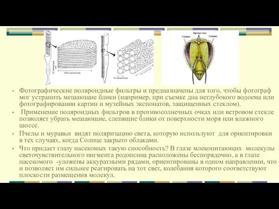 Фотографические поляроидные фильтры и предназначены для того, чтобы фотограф мог