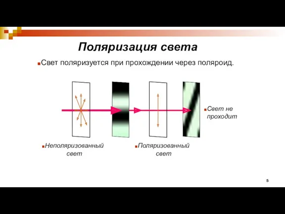 Поляризация света Свет поляризуется при прохождении через поляроид. Неполяризованный свет Поляризованный свет