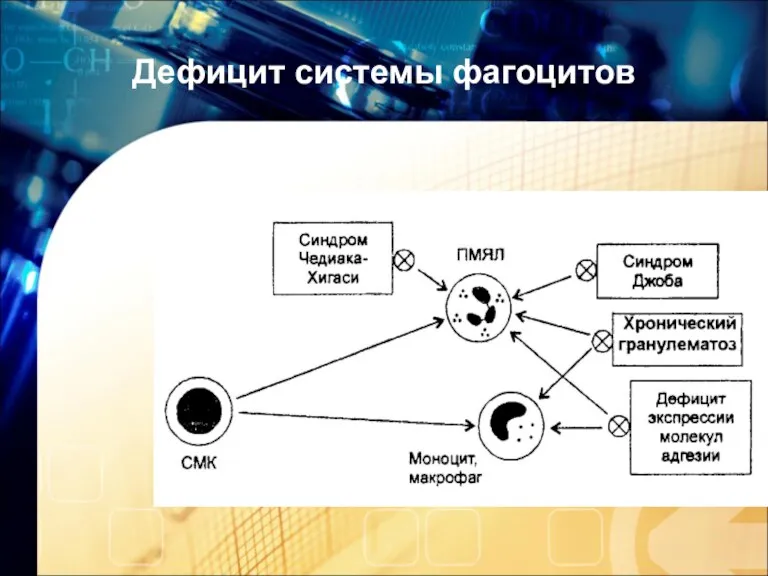 Дефицит системы фагоцитов