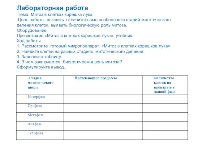 Лабораторная работа Тема: Митоз в клетках корешка лука. Цель работы: