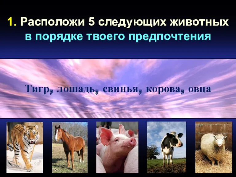 1. Расположи 5 следующих животных в порядке твоего предпочтения Тигр, лошадь, свинья, корова, овца
