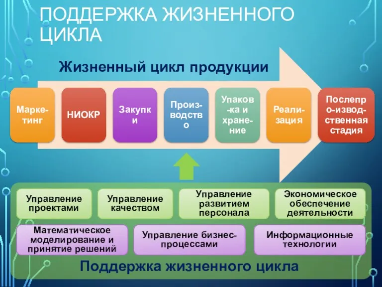 Жизненный цикл продукции Управление проектами Управление качеством Экономическое обеспечение деятельности