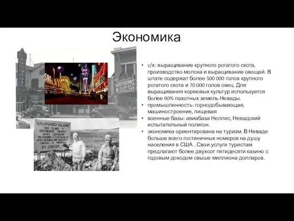 Экономика c/х: выращивание крупного рогатого скота, производство молока и выращивание