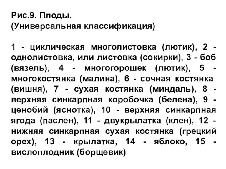 Рис.9. Плоды. (Универсальная классификация) 1 - циклическая многолистовка (лютик), 2