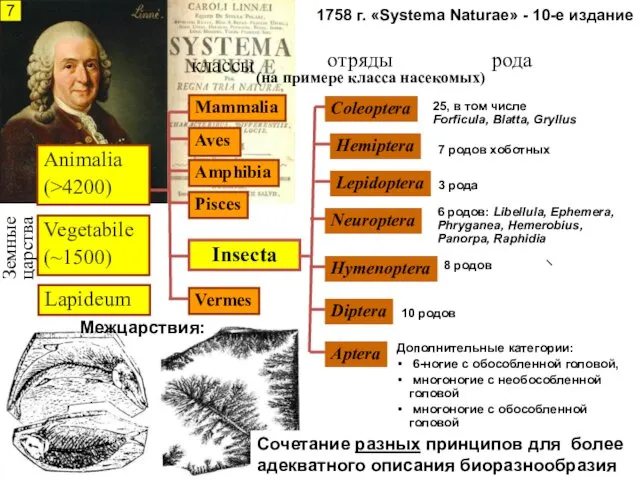 1758 г. «Systema Naturae» - 10-е издание Земные царства отряды