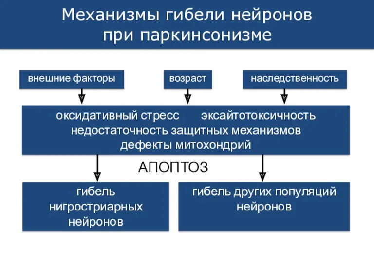 Механизмы гибели нейронов при паркинсонизме