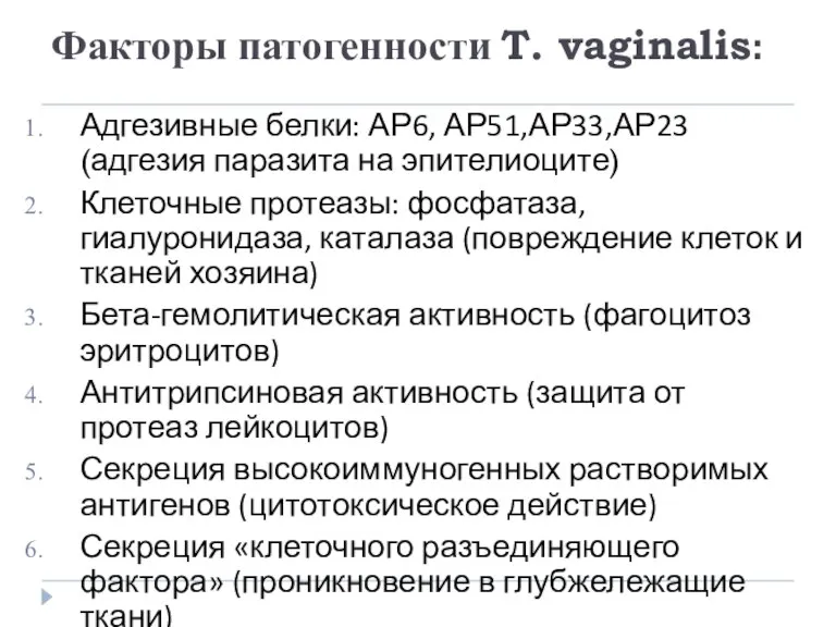 Факторы патогенности T. vaginalis: Адгезивные белки: АР6, АР51,АР33,АР23 (адгезия паразита