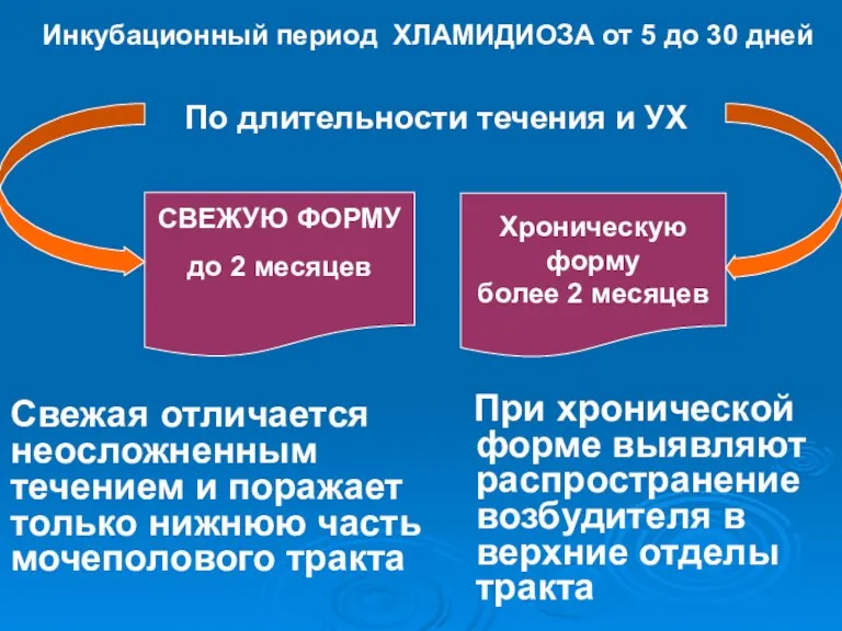 При хронической форме выявляют распространение возбудителя в верхние отделы тракта