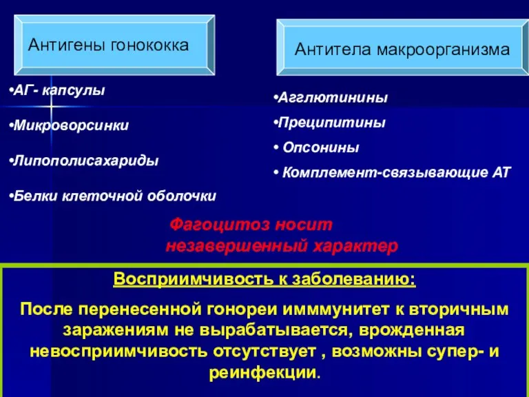 Антигены гонококка Антитела макроорганизма АГ- капсулы Микроворсинки Липополисахариды Белки клеточной