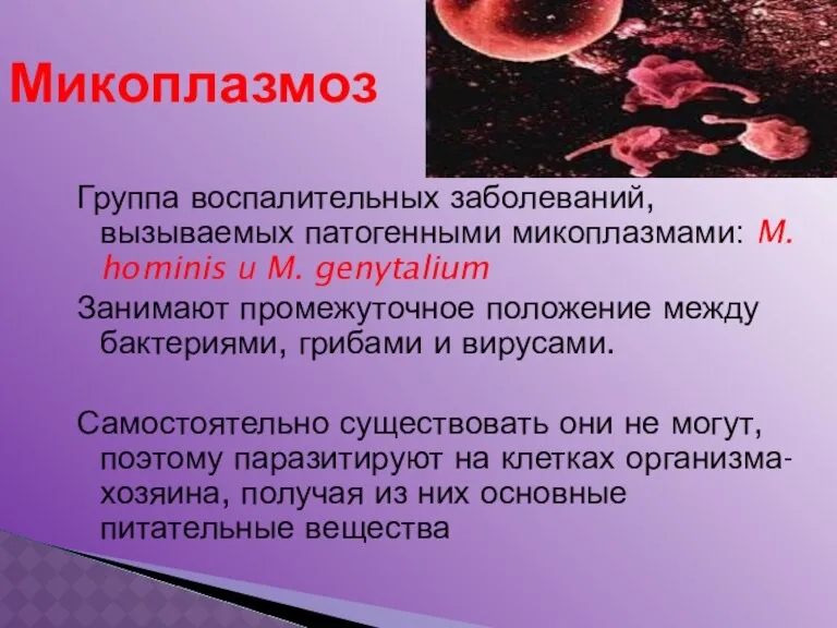 Группа воспалительных заболеваний, вызываемых патогенными микоплазмами: M. hominis и M.