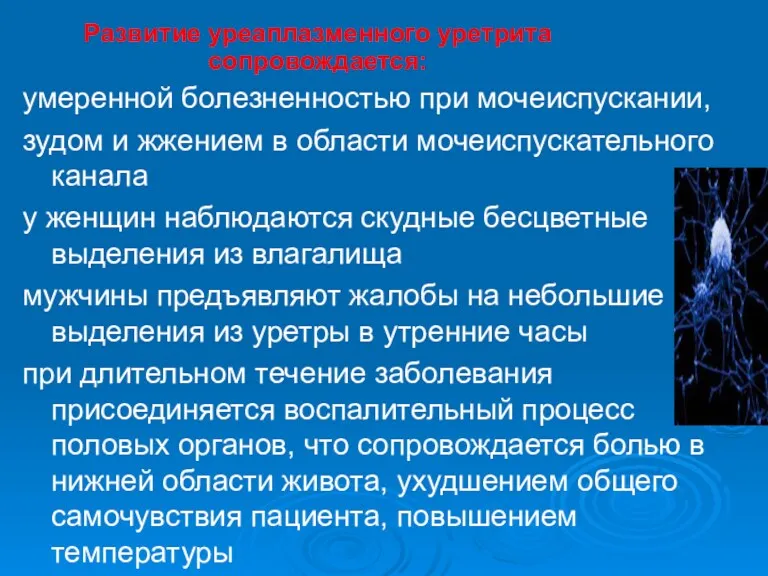 умеренной болезненностью при мочеиспускании, зудом и жжением в области мочеиспускательного