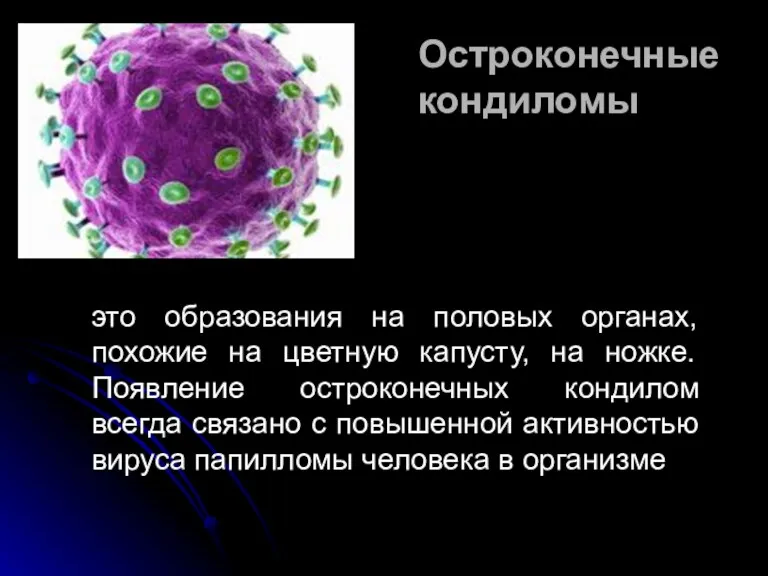 Остроконечные кондиломы это образования на половых органах, похожие на цветную