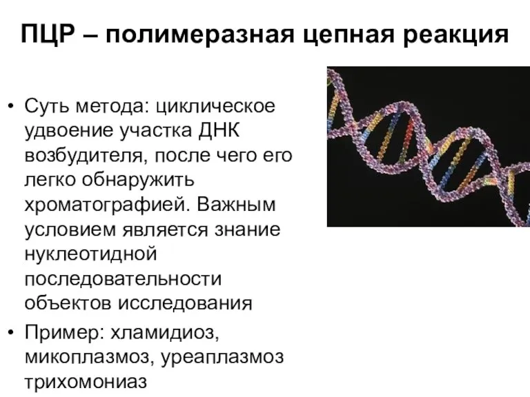 ПЦР – полимеразная цепная реакция Суть метода: циклическое удвоение участка