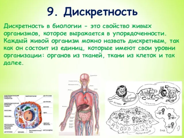 9. Дискретность Дискретность в биологии - это свойство живых организмов,