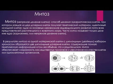 Митоз Митоз (непрямое деление клетки)- спо­соб де­ле­ния эу­ка­рио­ти­че­ских кле­ток, при