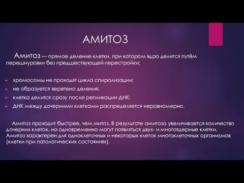 АМИТОЗ Амитоз — прямое деление клетки, при котором ядро делится