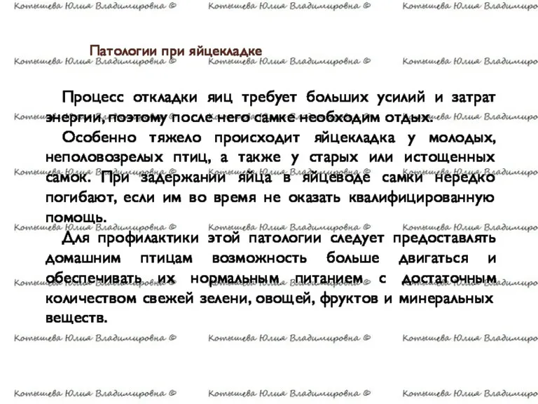 Патологии при яйцекладке Процесс откладки яиц требует больших усилий и