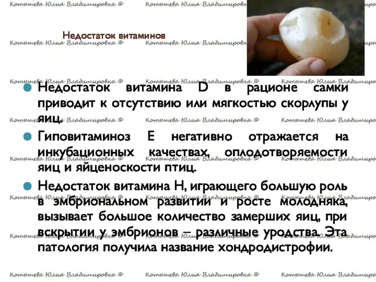 Недостаток витаминов Недостаток витамина D в рационе самки приводит к