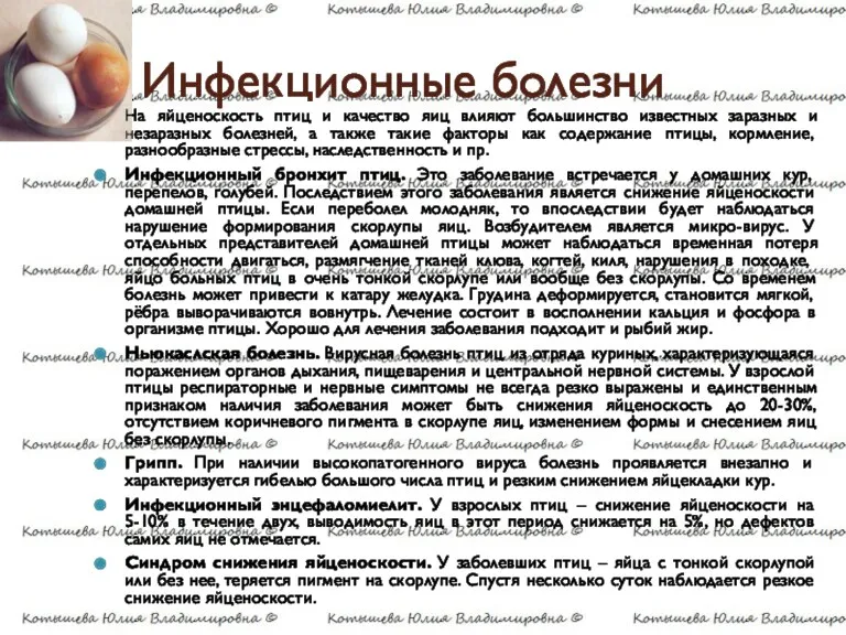 Инфекционные болезни На яйценоскость птиц и качество яиц влияют большинство