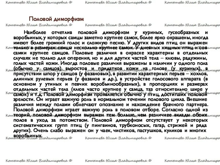 Половой диморфизм Наиболее отчетлив половой диморфизм у куриных, гусеобразных и