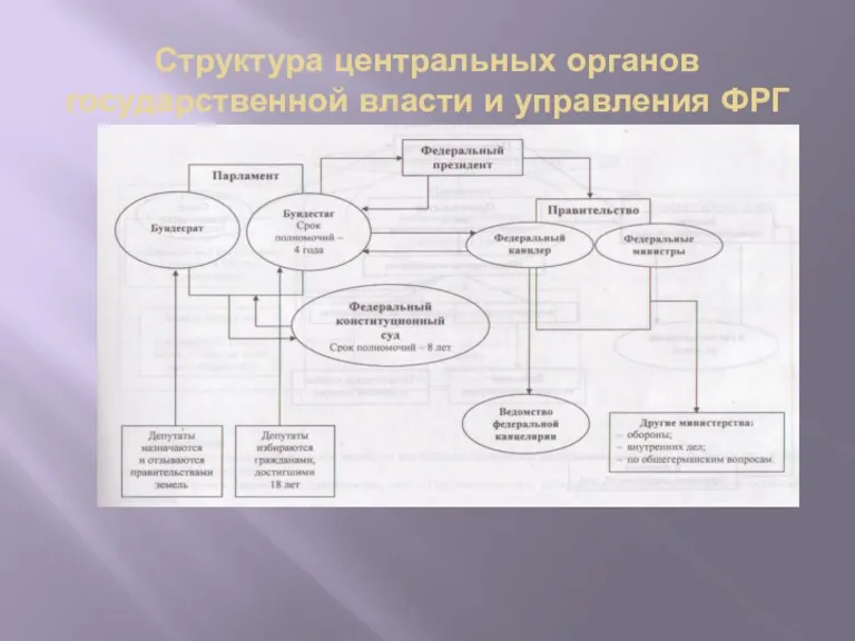 Структура центральных органов государственной власти и управления ФРГ