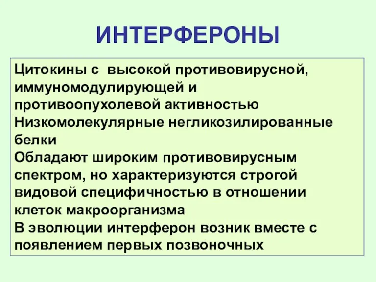 ИНТЕРФЕРОНЫ Цитокины с высокой противовирусной, иммуномодулирующей и противоопухолевой активностью Низкомолекулярные