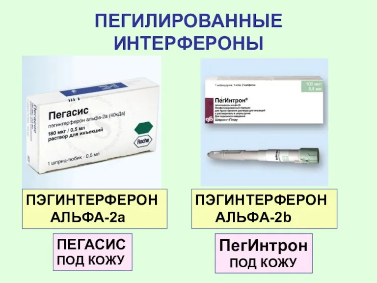 ПЕГИЛИРОВАННЫЕ ИНТЕРФЕРОНЫ ПЕГАСИС ПОД КОЖУ ПЭГИНТЕРФЕРОН АЛЬФА-2b ПегИнтрон ПОД КОЖУ ПЭГИНТЕРФЕРОН АЛЬФА-2a