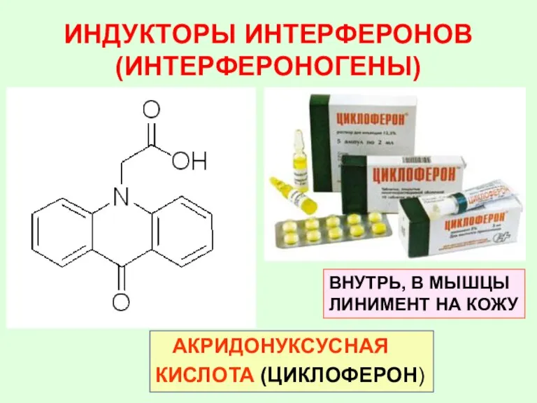 ИНДУКТОРЫ ИНТЕРФЕРОНОВ (ИНТЕРФЕРОНОГЕНЫ) АКРИДОНУКСУСНАЯ КИСЛОТА (ЦИКЛОФЕРОН) ВНУТРЬ, В МЫШЦЫ ЛИНИМЕНТ НА КОЖУ