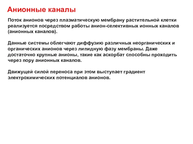 Анионные каналы Поток анионов через плазматическую мембрану растительной клетки реализуется