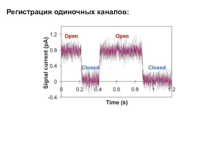 Регистрация одиночных каналов: