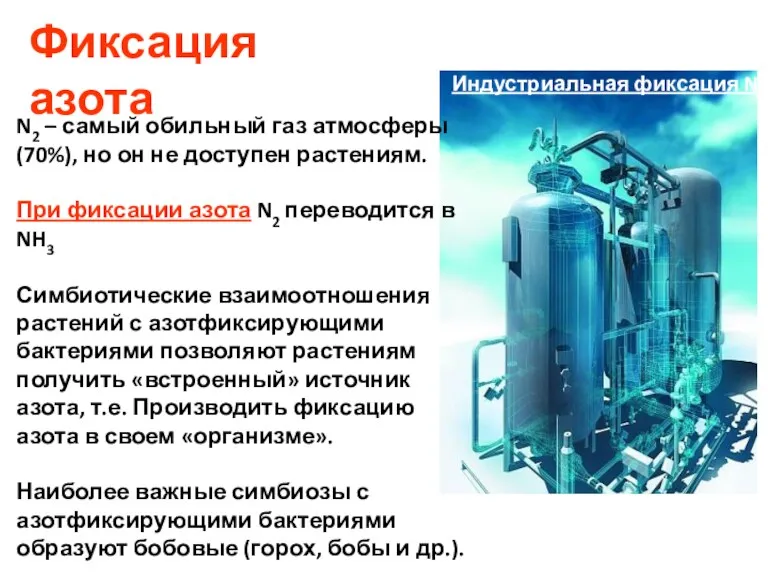 Фиксация азота Индустриальная фиксация N2 N2 – самый обильный газ