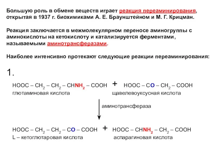 Большую роль в обмене веществ играет реакция переаминирования, открытая в