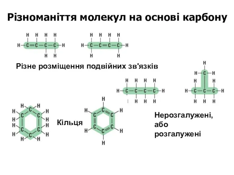 Різноманіття молекул на основі карбону Нерозгалужені, або розгалужені Кільця Різне розміщення подвійних зв'язків