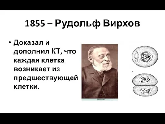 1855 – Рудольф Вирхов Доказал и дополнил КТ, что каждая клетка возникает из предшествующей клетки.