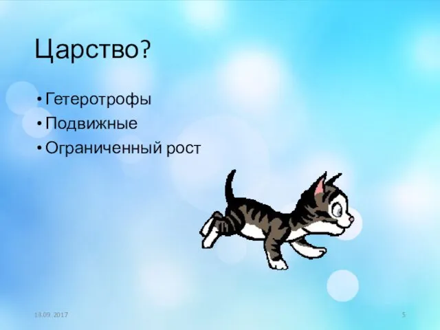 Царство? Гетеротрофы Подвижные Ограниченный рост 13.09.2017