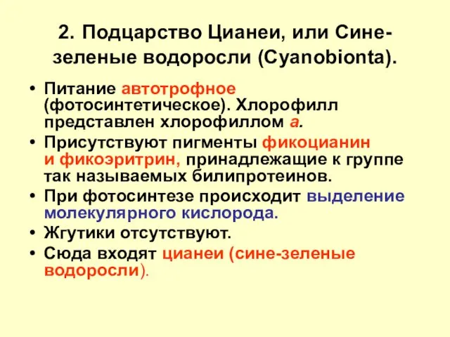 2. Подцарство Цианеи, или Сине-зеленые водоросли (Cyanobionta). Питание автотрофное (фотосинтетическое).