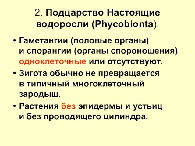 2. Подцарство Настоящие водоросли (Phycobionta). Гаметангии (половые органы) и спорангии