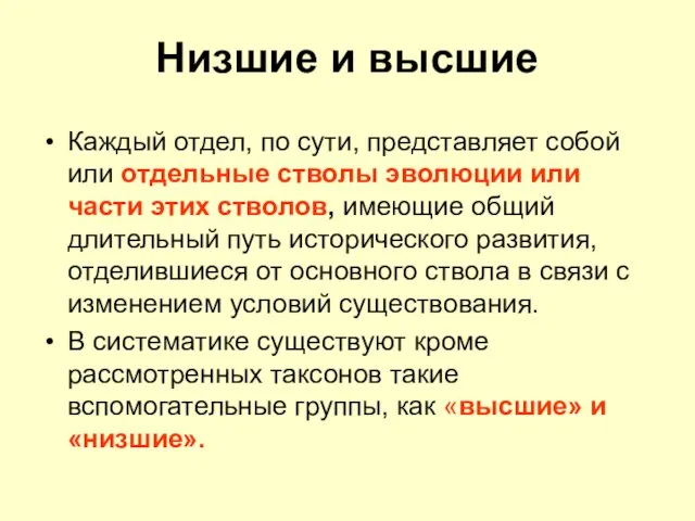 Низшие и высшие Каждый отдел, по сути, представляет собой или