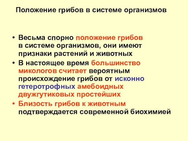 Положение грибов в системе организмов Весьма спорно положение грибов в