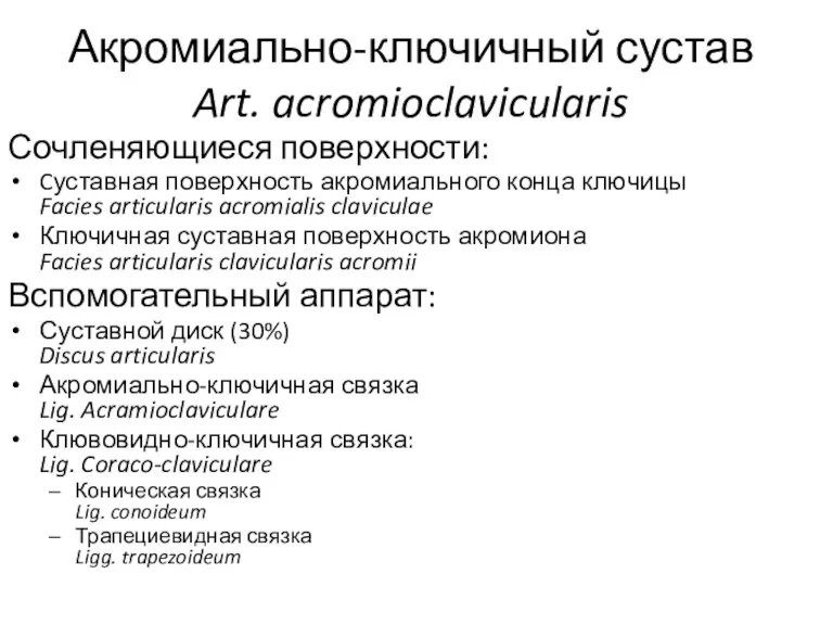 Акромиально-ключичный сустав Art. acromioclavicularis Сочленяющиеся поверхности: Cуставная поверхность акромиального конца