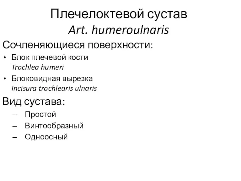 Плечелоктевой сустав Art. humeroulnaris Сочленяющиеся поверхности: Блок плечевой кости Trochlea