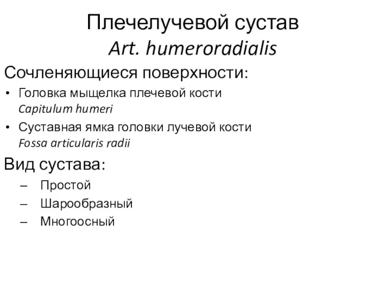 Плечелучевой сустав Art. humeroradialis Сочленяющиеся поверхности: Головка мыщелка плечевой кости