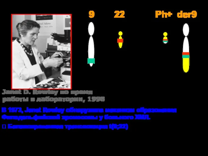 В 1973, Janet Rowley обнаружила механизм образования Филадельфийской хромосомы у