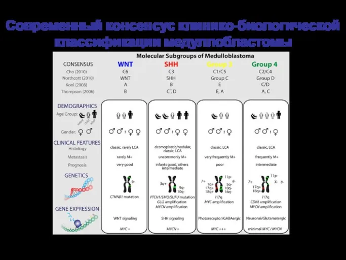 Taylor MD et al, Acta Neuropathol 2011 Современный консенсус клинико-биологической классификации медуллобластомы