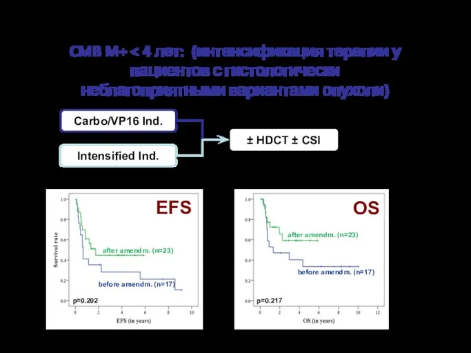CMB M+ Carbo/VP16 Ind. Intensified Ind. ± HDCT ± CSI