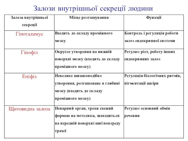 Залози внутрішньої секреції людини