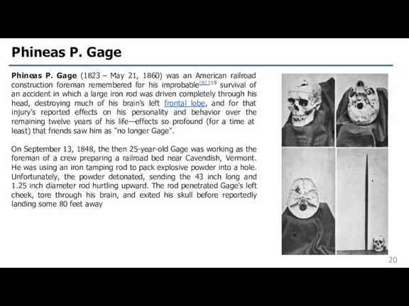 Phineas P. Gage Phineas P. Gage (1823 – May 21,