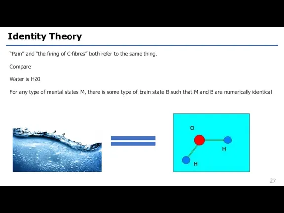 Identity Theory “Pain” and “the firing of C-fibres” both refer