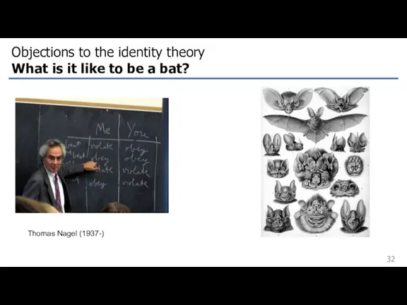 Objections to the identity theory What is it like to be a bat? Thomas Nagel (1937-)