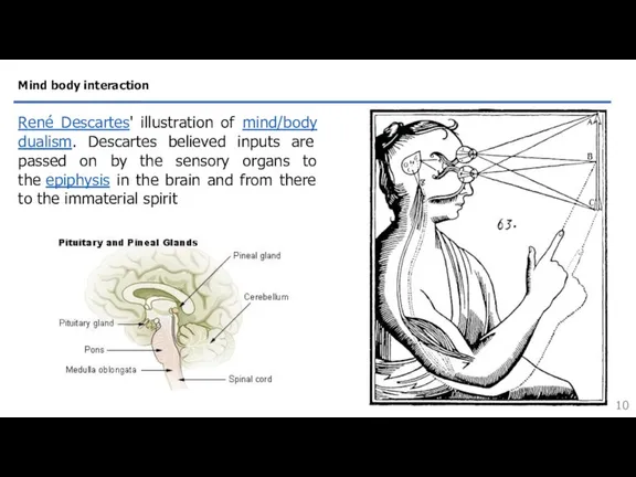 Mind body interaction René Descartes' illustration of mind/body dualism. Descartes